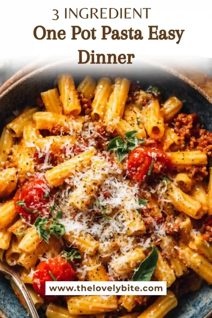 Hearty one pot beef pasta dish with marinara sauce and pasta, perfect for a quick family dinner.
