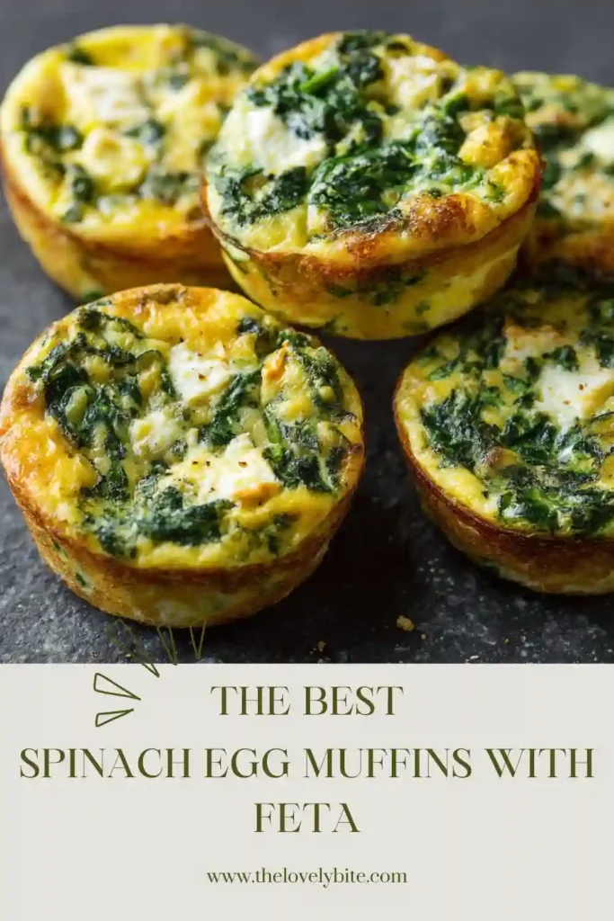 Healthy spinach and feta egg muffins baked in a muffin tin and ready to serve. These protein-rich breakfast bites are easy to make and family-friendly.
