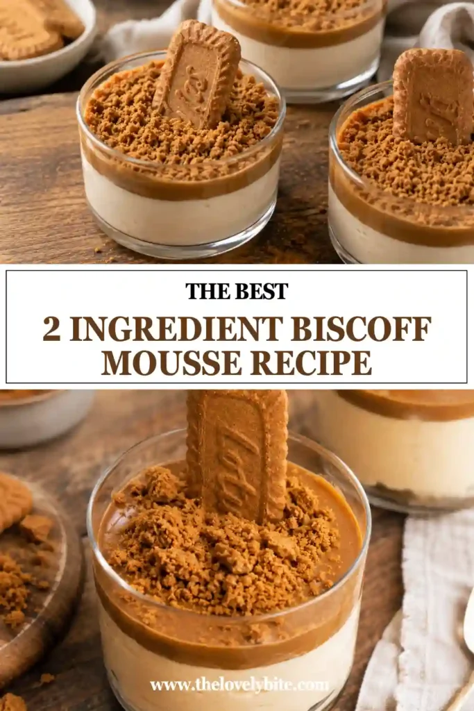 A glass dessert cup filled with creamy 2 Ingredient Biscoff Mousse Recipe and topped with melted Biscoff spread. The fluffy texture and rich cookie butter flavor make this easy no-bake dessert irresistible.