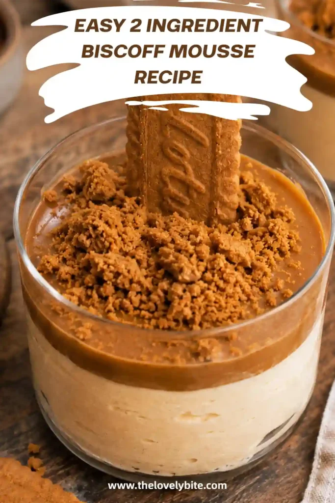 A bowl of homemade cookie butter mousse topped with drizzled Biscoff spread and cookie pieces. This no-bake dessert is simple, creamy, and full of caramelized flavor.