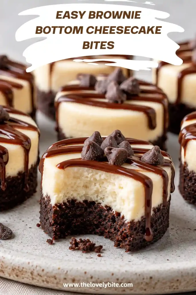 Close-up view of fudgy Brownie Bottom Cheesecake Bites with smooth cheesecake and dark chocolate ganache. A decadent bite-sized dessert perfect for entertaining.