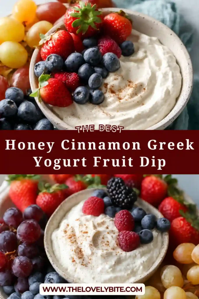 Close-up of a Greek yogurt fruit dip flavored with honey and cinnamon in a white serving bowl. Surrounded by fresh berries and graham crackers for dipping.