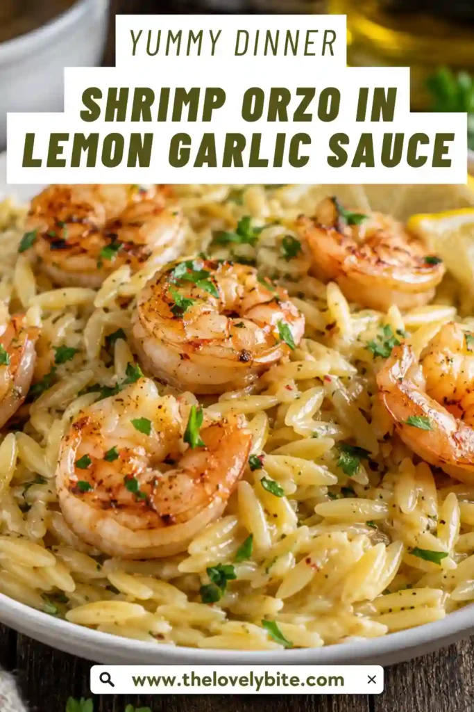 One-pan Shrimp Orzo in Lemon Garlic Sauce garnished with chopped parsley and fresh lemon zest. An easy pasta dinner packed with bright Mediterranean flavors.