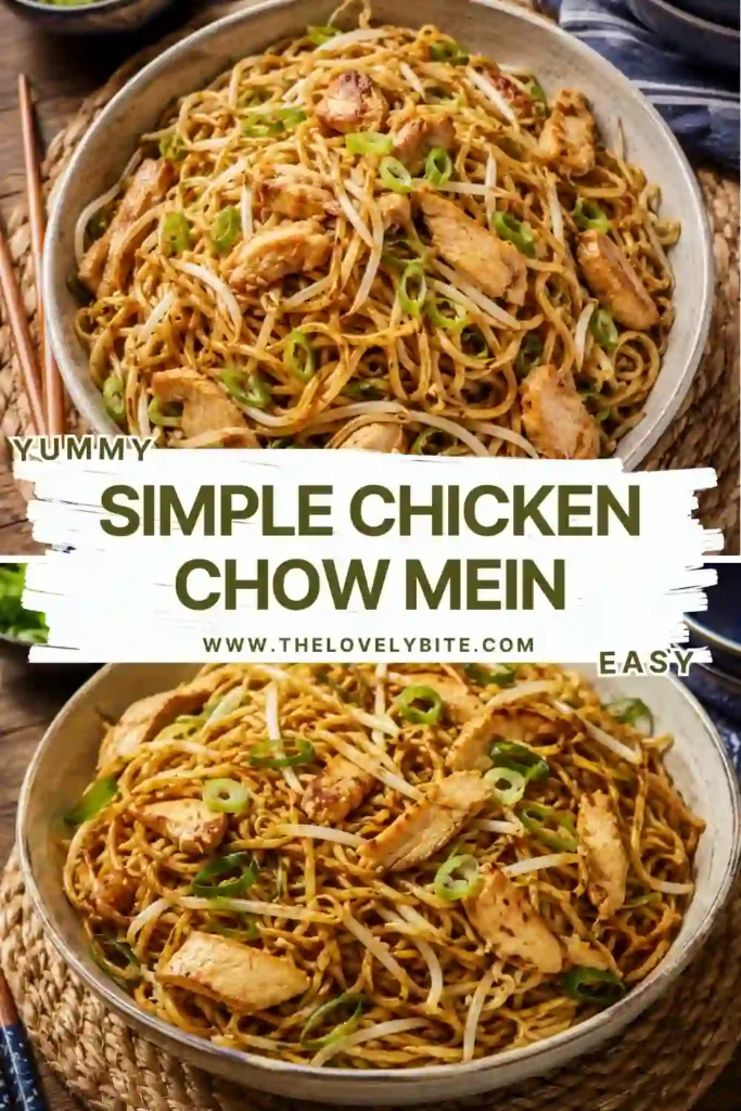 Homemade chicken chow mein served in a bowl with stir-fried noodles, sliced chicken, bean sprouts, and green onions. A quick and flavorful dinner recipe.