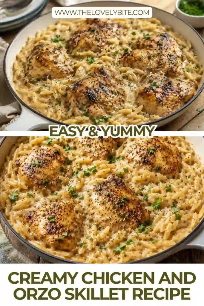 Tender chicken thighs served over creamy orzo pasta in a skillet with parmesan cheese and herbs. This one pan chicken orzo recipe is ideal for busy weeknights.