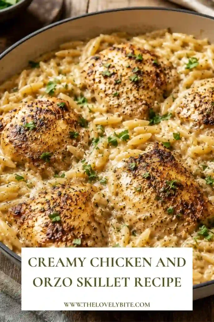 Close-up of creamy chicken and orzo with tender chicken thighs, melted parmesan, and fresh herbs. This easy skillet dinner is rich, creamy, and family-friendly.
