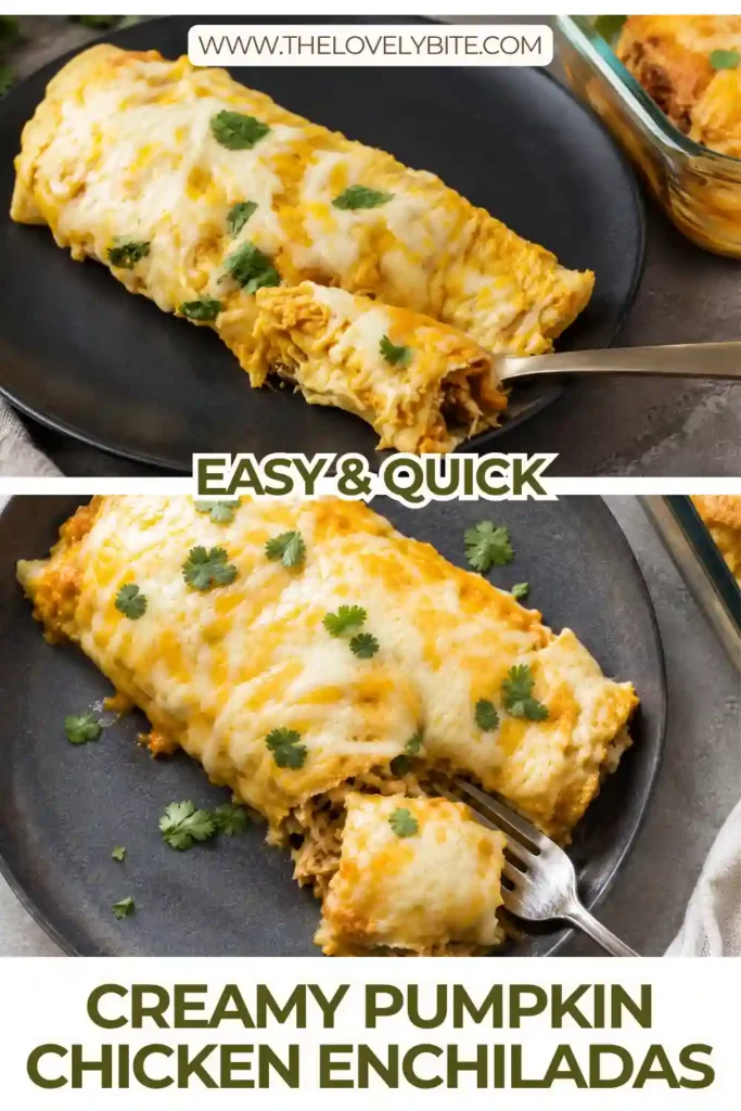 Creamy pumpkin chicken enchiladas baked in a casserole dish with melted cheese and pumpkin sauce. The golden enchiladas are filled with shredded chicken, sweet potato, and green chilies.
