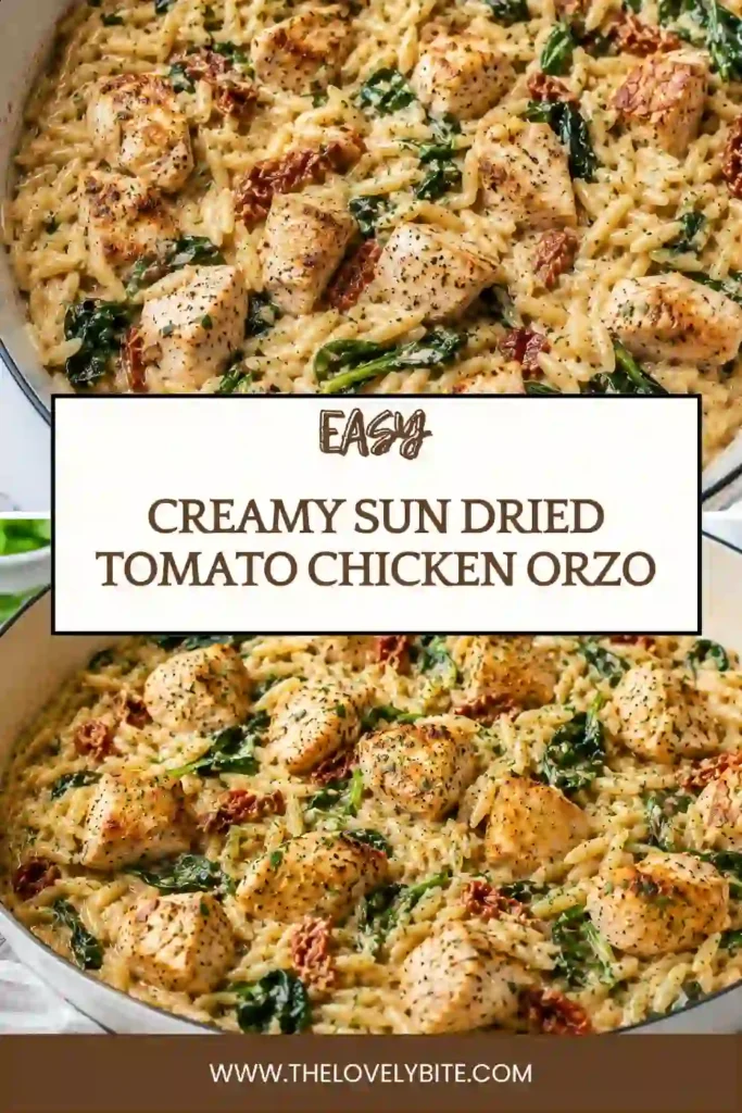 A skillet of creamy sun dried tomato chicken orzo with tender chicken, spinach, and chopped sun-dried tomatoes. The creamy orzo is finished with Parmesan and herbs for a rich, colorful one-pan dinner.