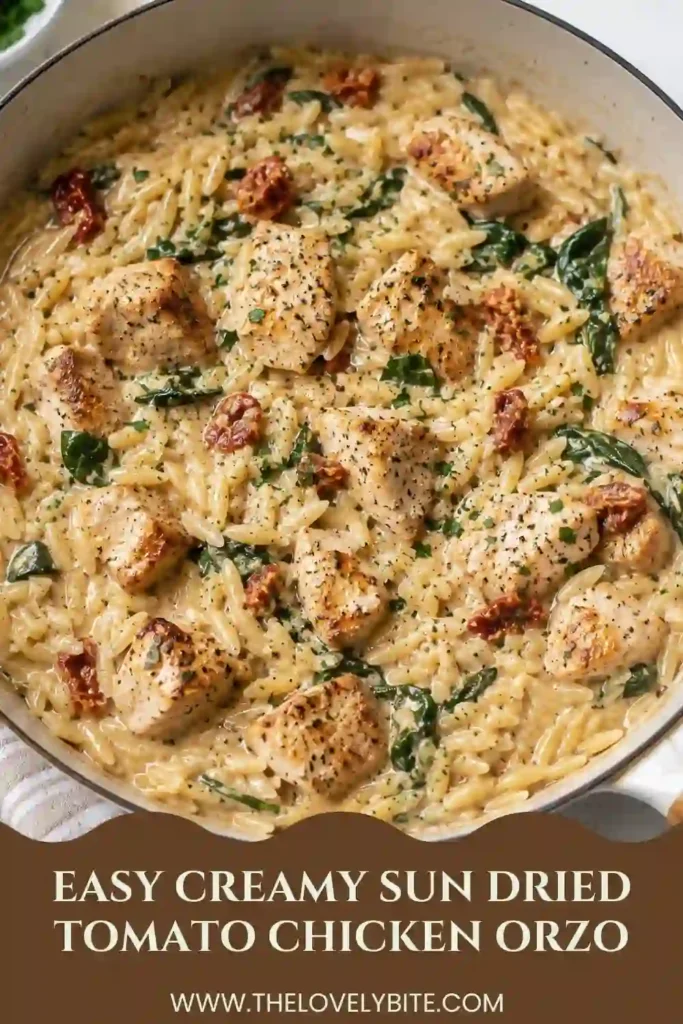 A close-up of creamy sun dried tomato chicken orzo showing tender chicken, creamy pasta, wilted spinach, garlic, and sun-dried tomatoes. Parmesan adds a savory finishing touch to the skillet meal.