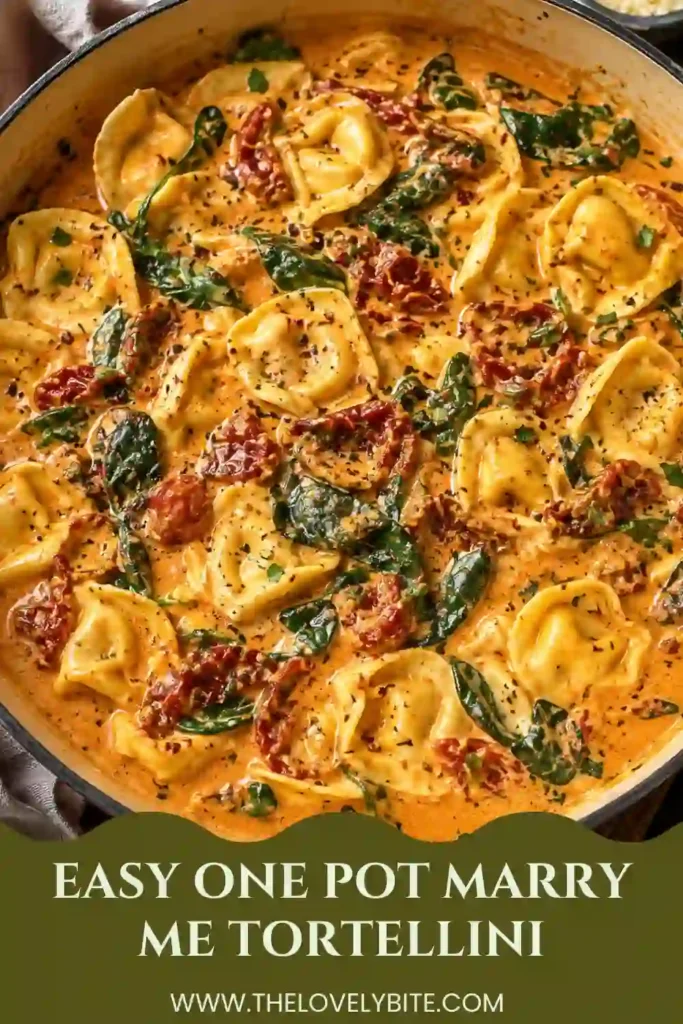 One-Pot Marry Me Tortellini with cheese-filled pasta coated in creamy Parmesan sauce with sun-dried tomatoes and fresh basil. Chili flakes and grated Parmesan finish the rich pasta dinner.