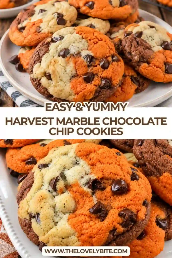 Freshly baked Harvest Marble Chocolate Chip Cookies with orange and brown swirls and plenty of chocolate chips. The festive autumn cookies are arranged together for a cozy fall dessert.