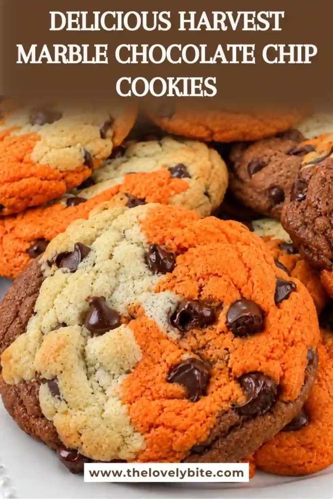 Soft marble cookies made with orange, brown, and natural chocolate chip cookie dough. The colorful harvest cookies feature rich chocolate chips and a festive fall-inspired pattern.