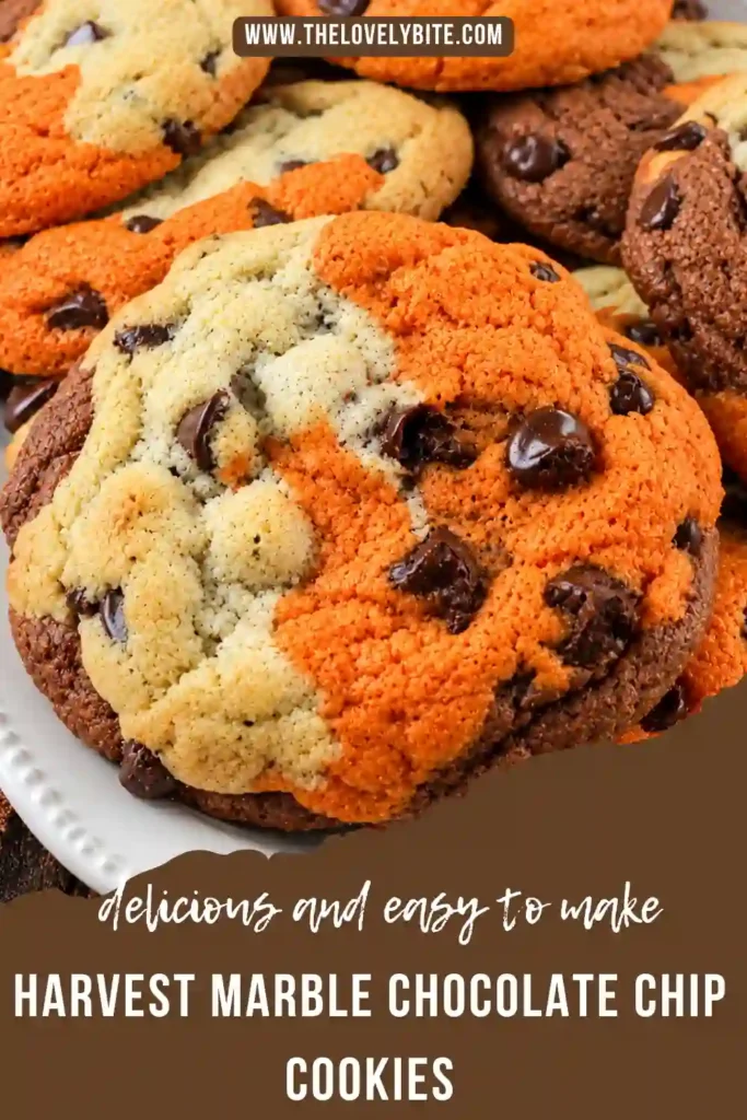 Orange and brown cookies with cream-colored swirls and melty chocolate chips. These easy fall cookies feature a beautiful marbled design perfect for autumn and Thanksgiving.
