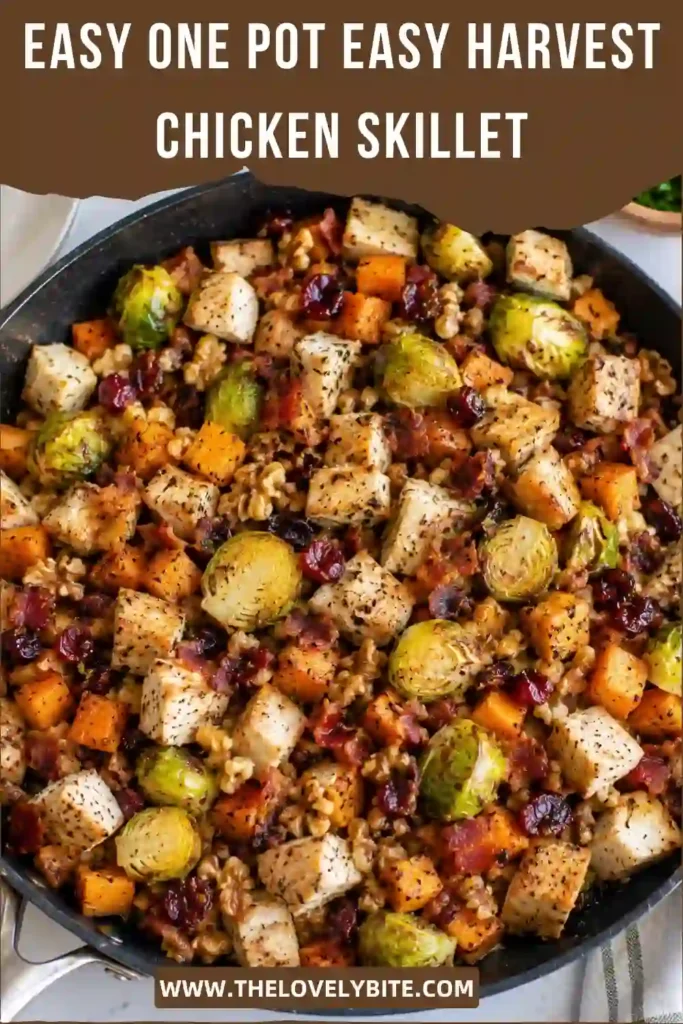 One Pot Easy Harvest Chicken Skillet served warm in a large skillet with chicken, Brussels sprouts, sweet potatoes, and apples. Cranberries and chopped walnuts create a colorful finishing touch.