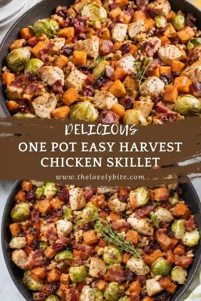 One Pot Easy Harvest Chicken Skillet photographed in a rustic serving pan with chicken, sweet potatoes, Brussels sprouts, apples, cranberries, and walnuts. Fresh thyme and warm spices complete the cozy fall-inspired meal.